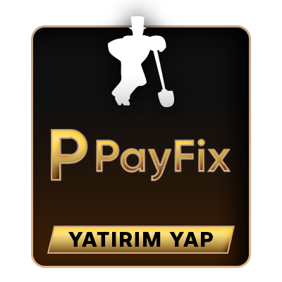 betloves payfix